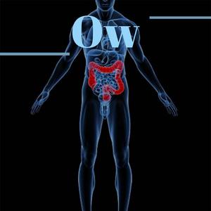 Meliorate Celebrations