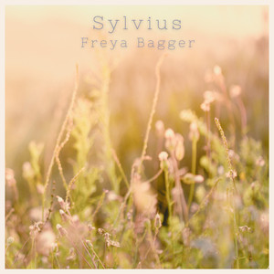 Sylvius