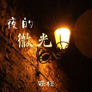 夜的微光