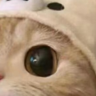 晚霞下玫瑰的浪漫私语