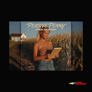 Pensive Penny (Pack Your Bag)