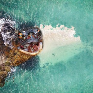 Naukacuvu & Nadroga-Navosa