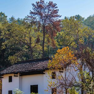 故乡在远方 伴奏