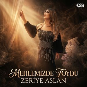 Mehlemizde Toydu Gedir