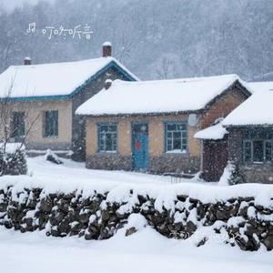雪飘落在他乡的冬 (Cover 田园)
