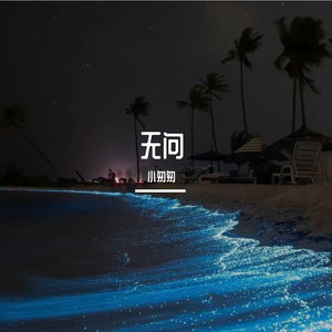 无问（cover 毛不易）