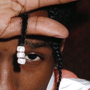 Dogs - HVOB (降调)