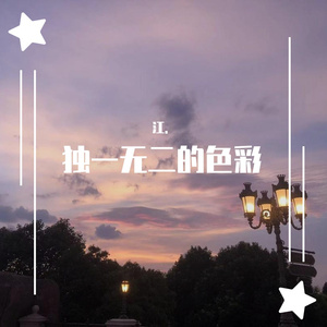 独一无二的色彩