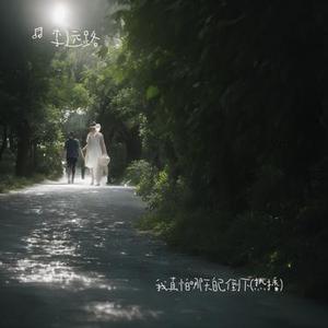 我真怕哪天自己倒下