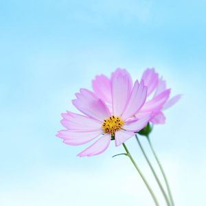 最后我们没在一起