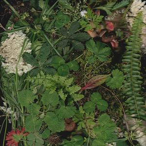 I Don't Need Anyone Else