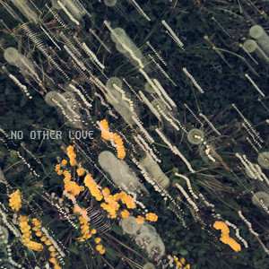 Tightrope (Oops-A-Daisy!)