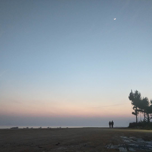 后来（翻自 刘若英）