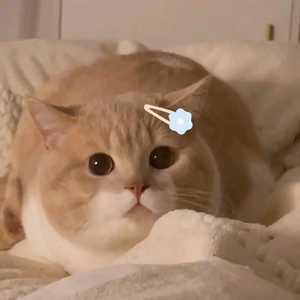 呼吸决定