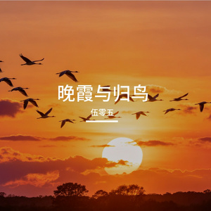 晚霞与归鸟