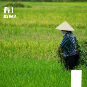 落日的西方2