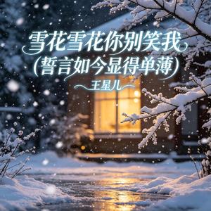 雪花雪花你别笑我(誓言如今显得单薄)
