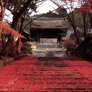 生日快乐（Prod by LilSiren&9Zi）