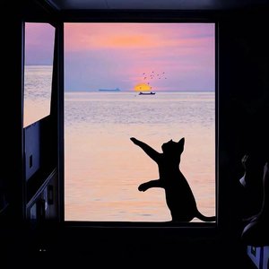 夕阳西下 (Sunset)