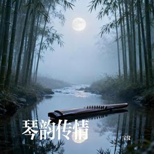 琴韵传情