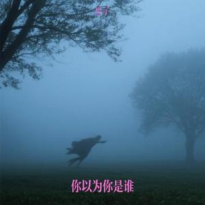 你以为你是谁 (黑子 Remix)