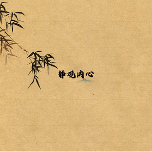 心无杂念 (练字)