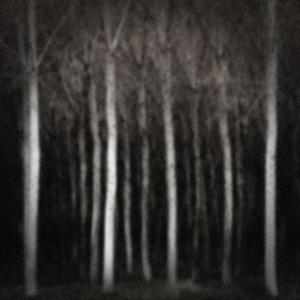 Symphony No. 9 in E Minor, Op. 95, B. 178, "From the New World": II. Largo