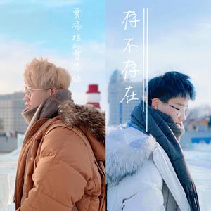存·不存在