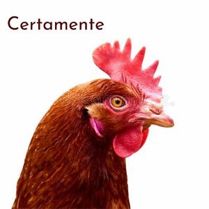 Certamente
