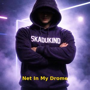 Net In My Drome