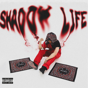 SHADOW LIFE