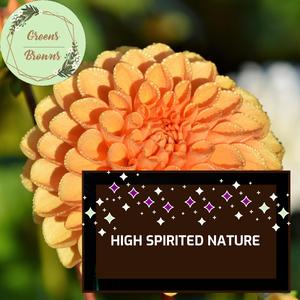 Personal Beach Ripple