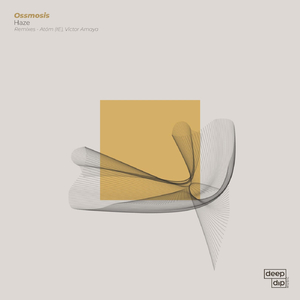 Hazze (Extended Mix)