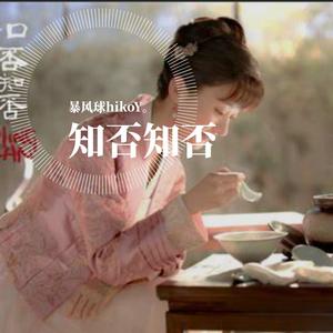 知否_霆峙/顾廷烨/冯绍峰 钢琴版 OriginatedBy暴风球hikoY。20201222