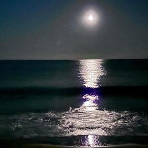 maybe in another life