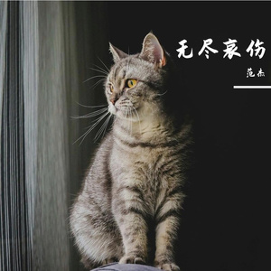 无尽哀伤