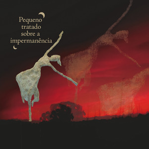 Pequeno Tratado Sobre a Impermanência