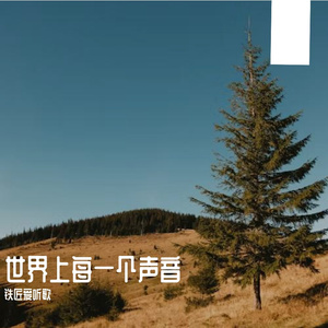 世界上每一个声音