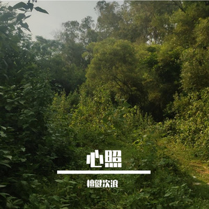 心照 (将最完美的定格)