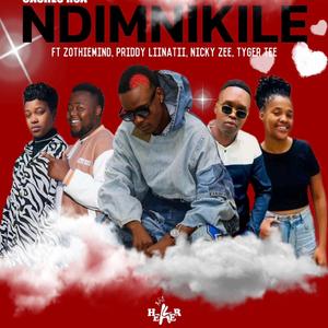Ndimnikile (feat. Zothiemind, Priddy Liinatii, Nicky Zee & Tyger Tee)