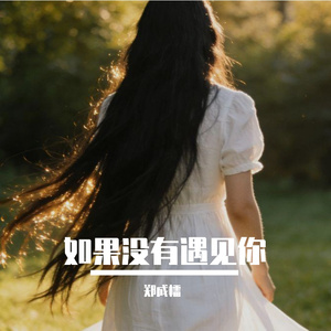 如果没有遇见你