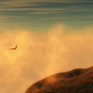 要我怎么忘了他