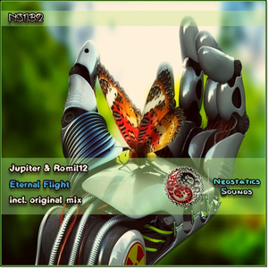 Eternal Flight (Original Mix)