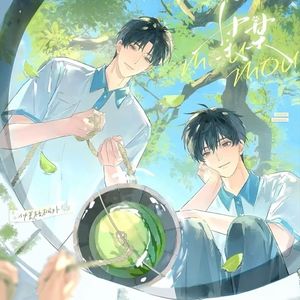梧桐盛夏（记《某某》开文第七年）
