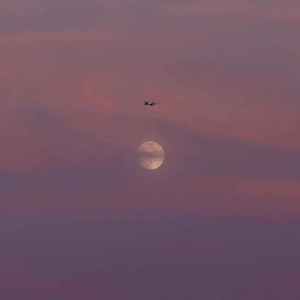 大雨还在下（翻自 藤竹京）