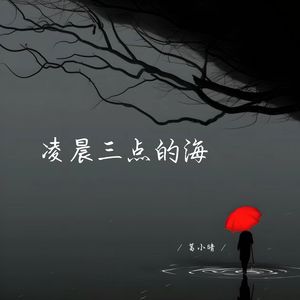 凌晨三点的海 (释怀女生版)