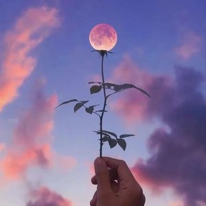 那年冬天你的眼神，