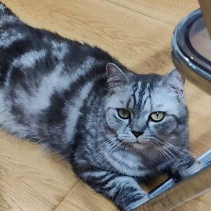 出太阳孤云阁雨