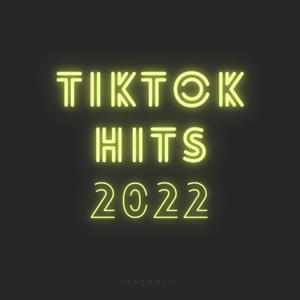 Who Is She x The Perfect Girl (Remix)