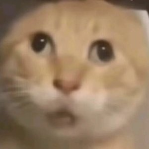 你总说无所谓 却又偷偷流泪